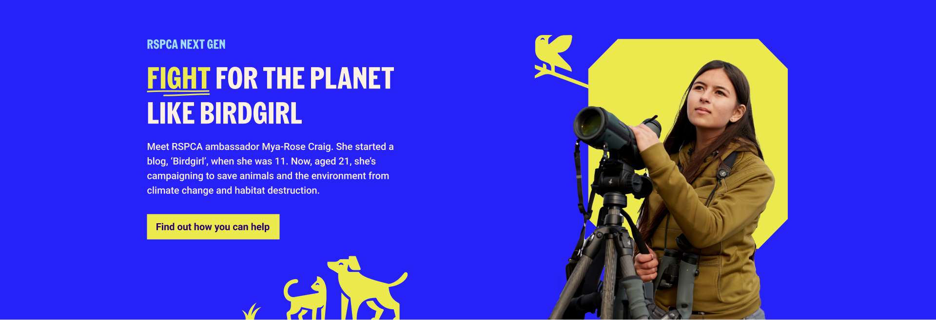 An image of the developed Next Gen website, with a strong hero image of birdgirl, animal illustrations, and a paragraph of text